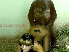 Crazy old bitches fucked by monkey